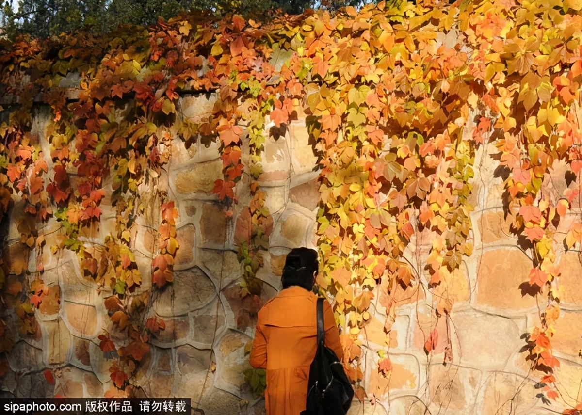 打卡北京十大古迹,打卡北京100个景点