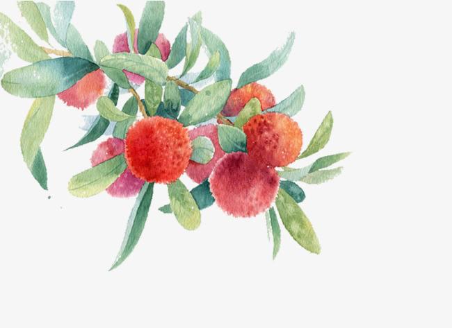 仙居杨梅酒仙梅谷,仙梅谷杨梅酒的配方