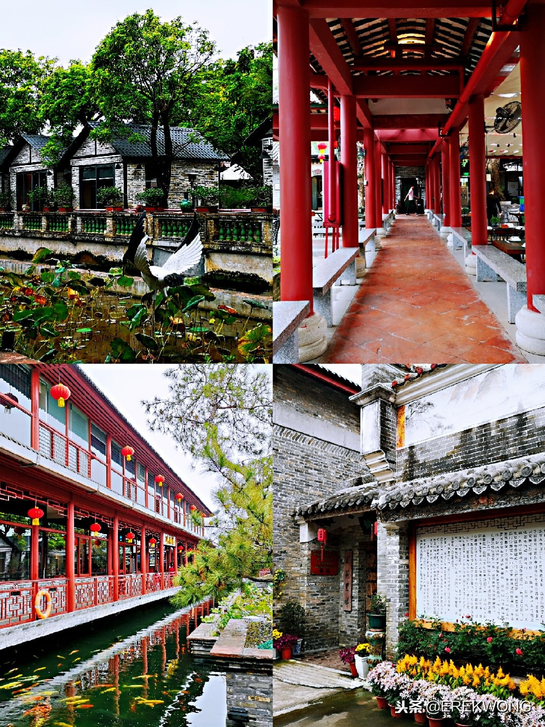 探店私房菜招牌菜特色菜,探店广东美食