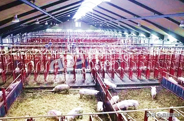 养殖场led灯泡超亮节能灯,养殖场led灯暖光好还是白光好