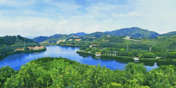 对不起，我要回梅州了！