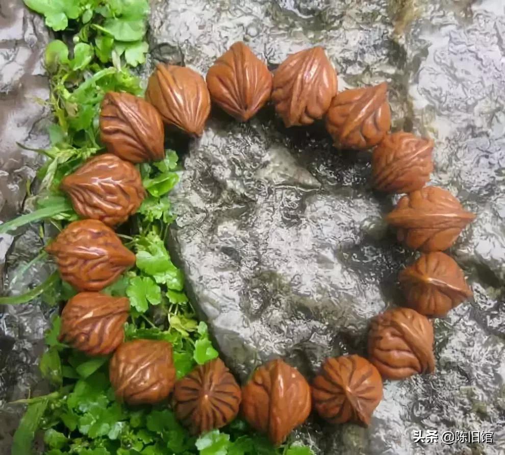 最值得玩的菩提子,真正的菩提子