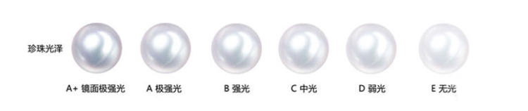 珍珠手链判断真假,野生无核可食珍珠怎么辨别真假