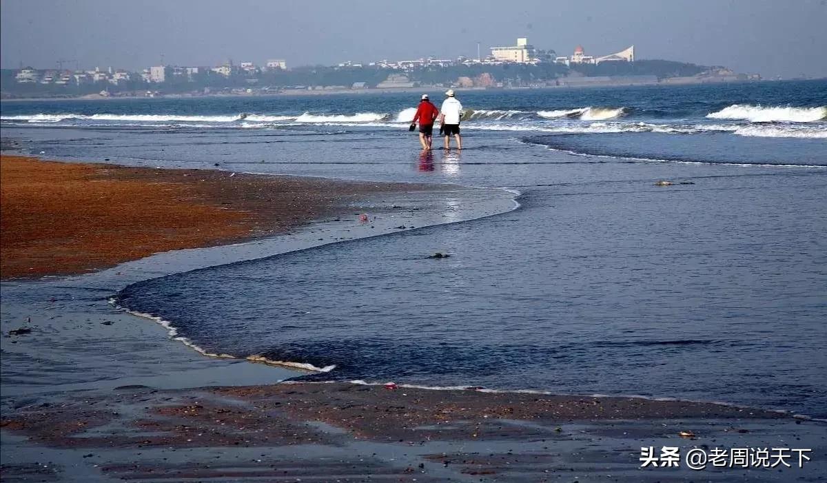 乳山市本地人吃生蚝的地方 (山东最正宗的乳山生蚝)
