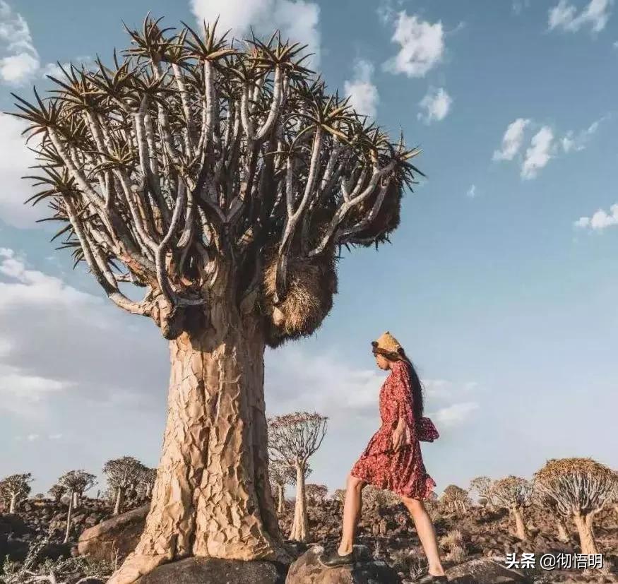 53天环游世界旅行,80天环游世界环游了哪几个国家