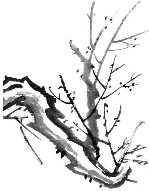 国画梅花上的雪画法步骤教程视频,零基础国画入门画梅花教程