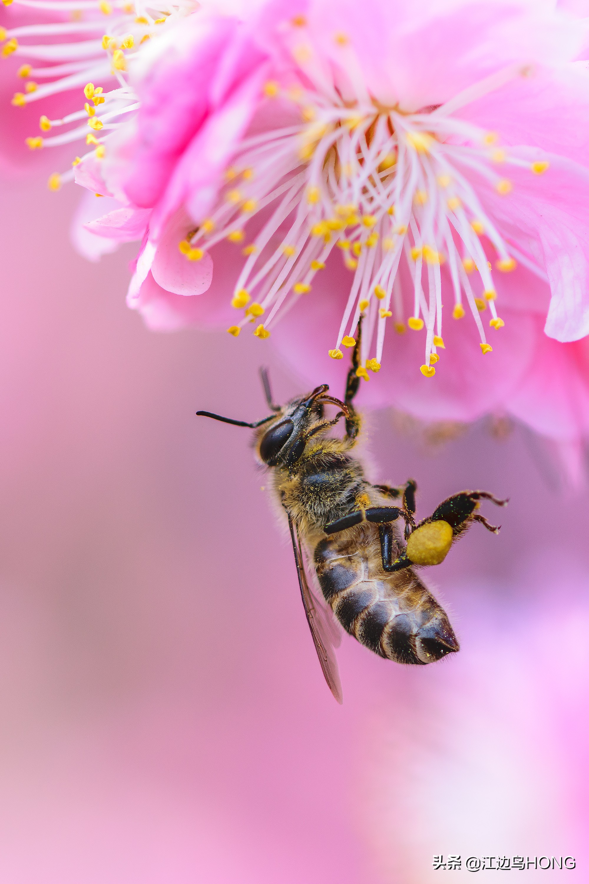 最好的aps-c画幅相机,不换镜头的aps-c相机推荐