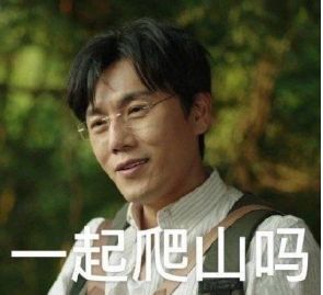 支付宝购买保险需要哪些事项,支付宝上的哪些保险可以买