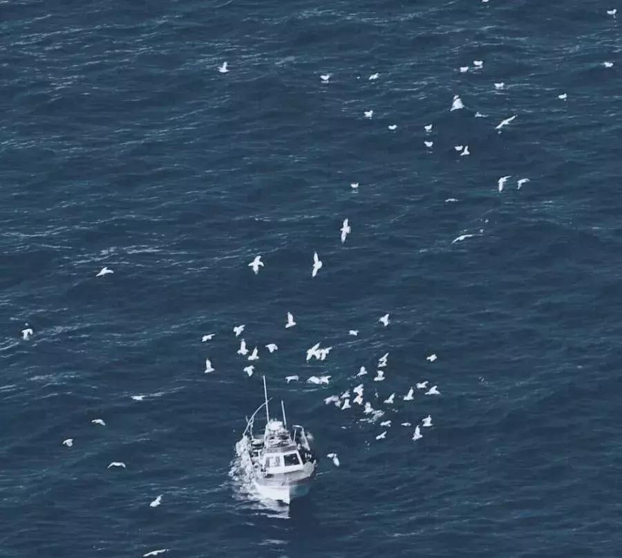 适合黄黑皮裸色指甲油,4款显手白的指甲油颜色淡粉色