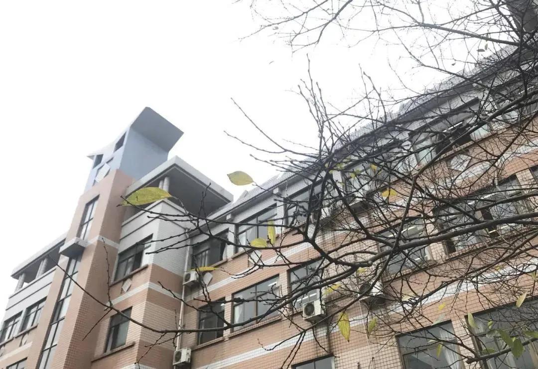 杭州公民同招最新消息,杭州公民同招什么时候开始执行