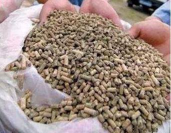 猪霉菌毒素中毒的症状,猪霉菌毒素中毒会突然死亡吗