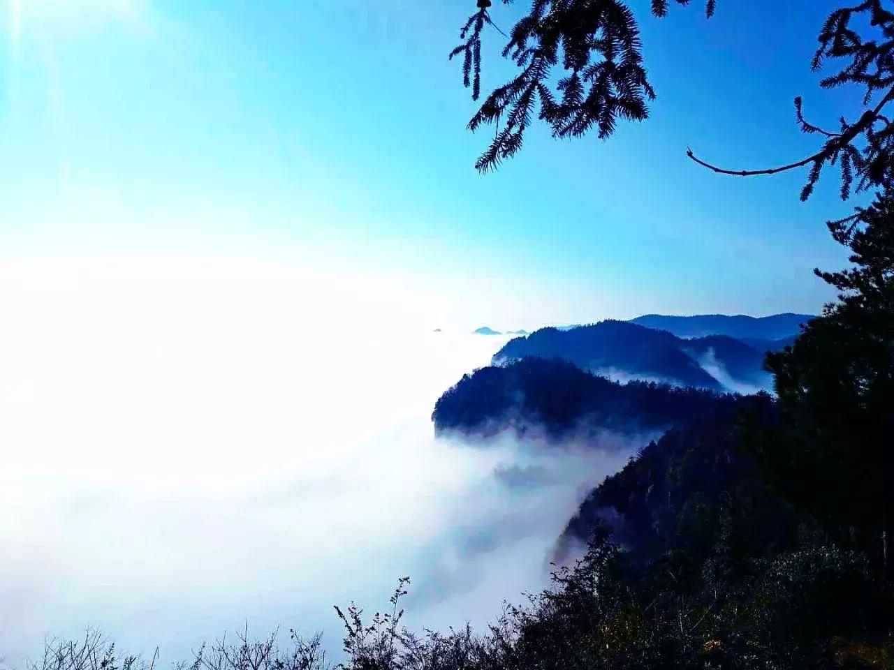 冬季视觉治愈系列！治好你的“冬天不想出门症”~