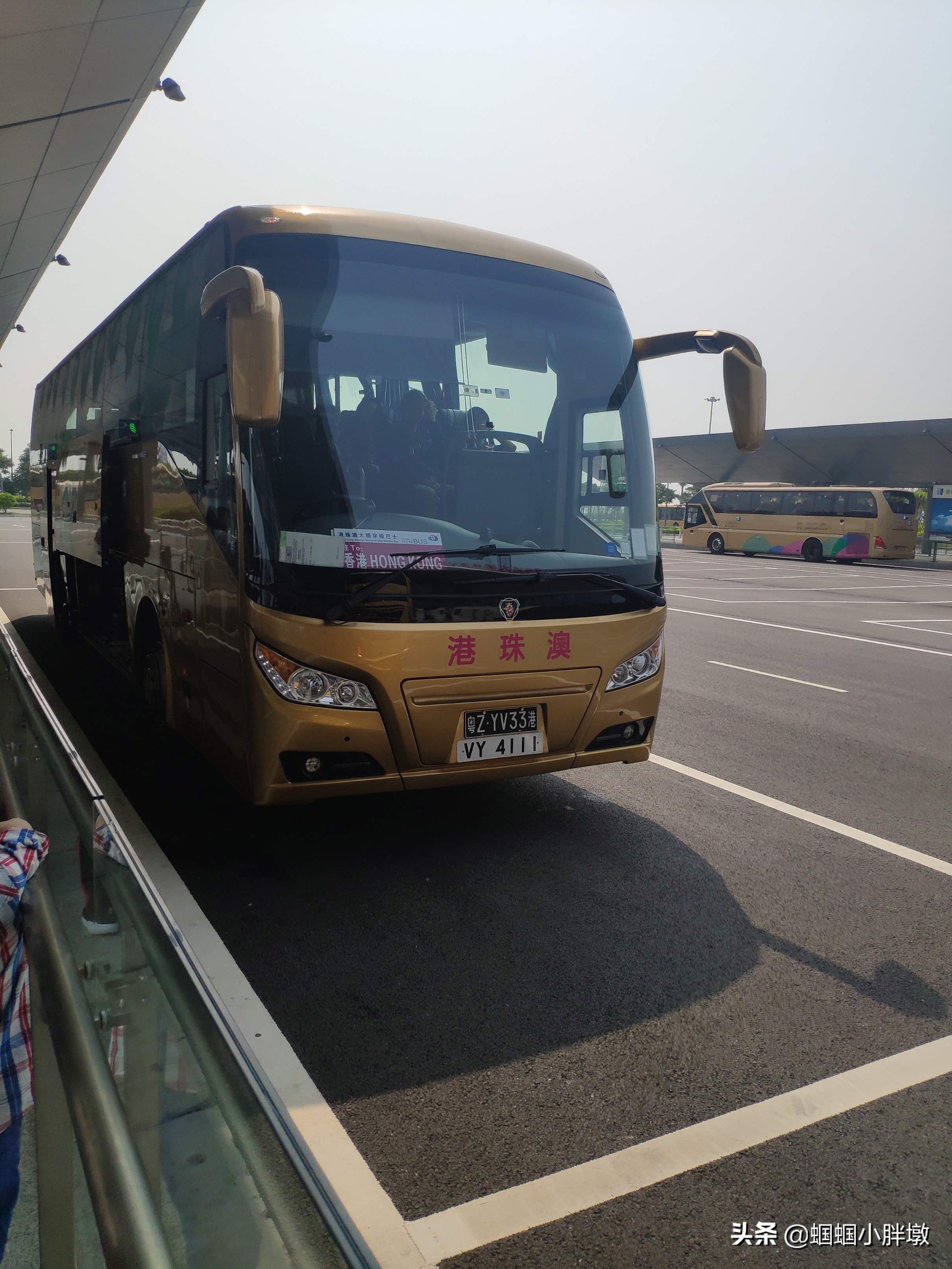 珠海香港旅游攻略自由行,香港珠海自驾过关攻略