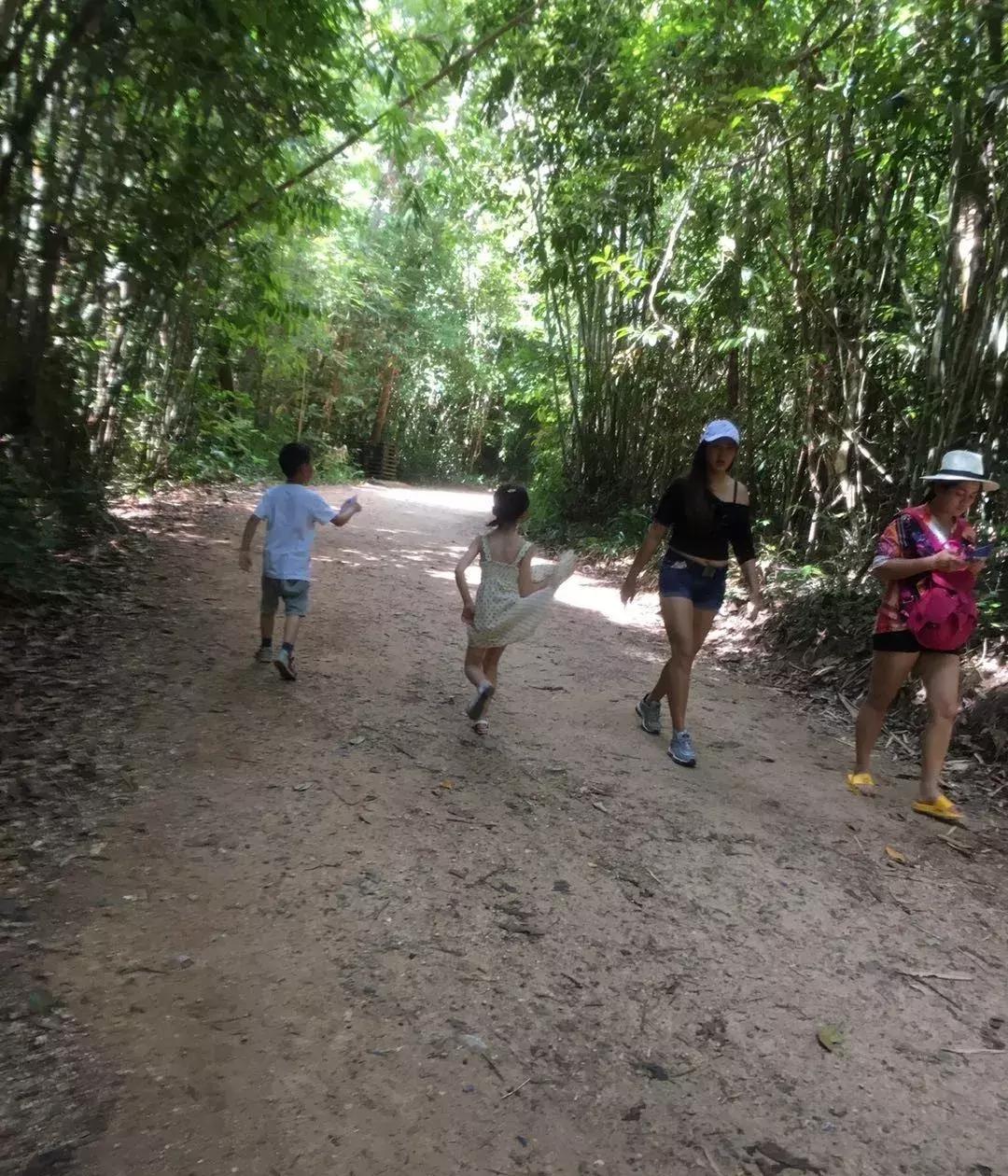 泰国4日游自由行旅游攻略,泰国甲米岛3日旅游攻略