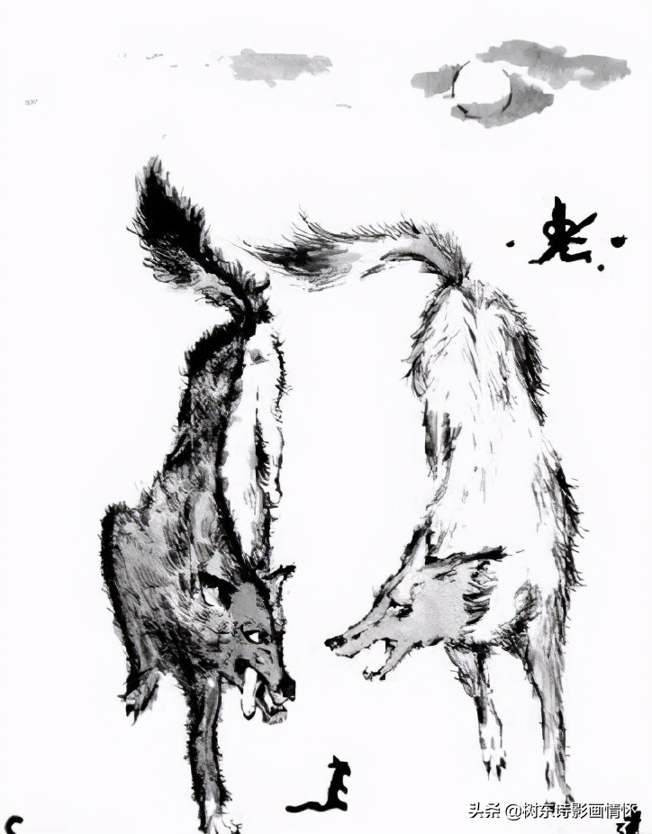 狈字的演变,狈字的演变过程