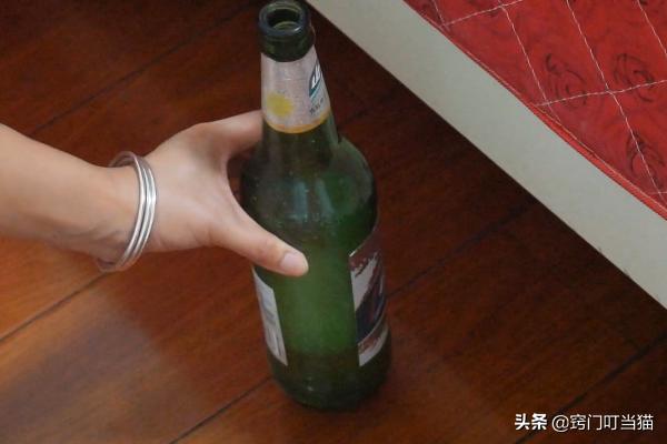 蚊子在房间里点蚊香,蚊子睡觉嗡嗡找不到蚊香怎么办