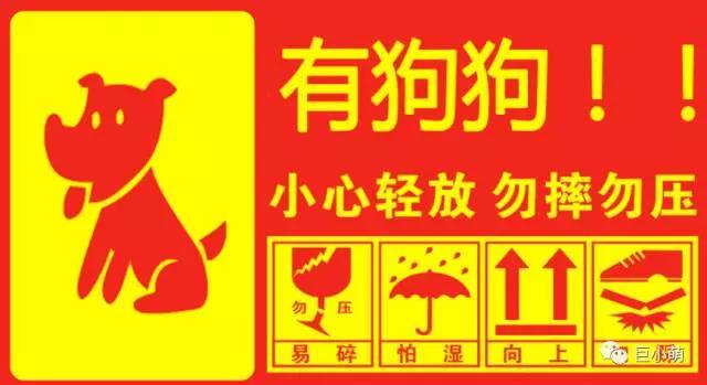 空运狗狗很麻烦吗,空运狗狗容易掉包吗