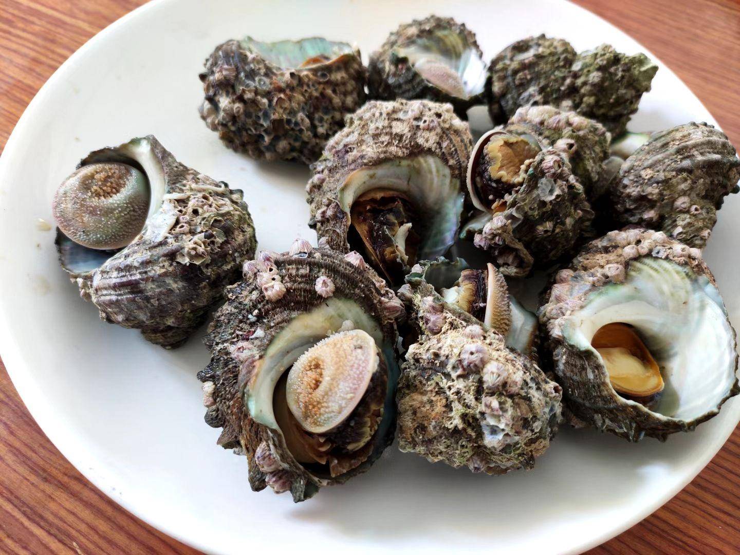 亚洲最大的海水钓场,亚洲第一钓场渔山岛