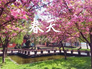 成都嘉祥外国语学校成华校区,成都嘉祥外国语学校天府校区