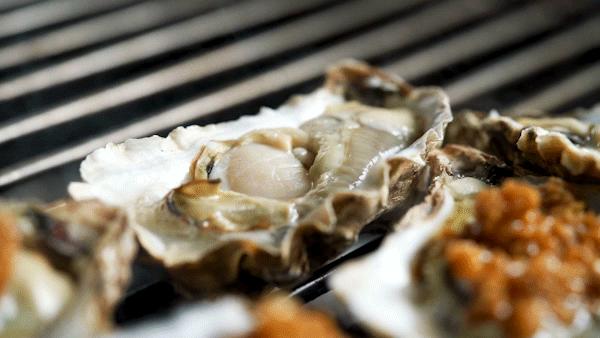 老西关炭炉羊肉煲，不给蘸酱！藏在村子里，门口停满豪车