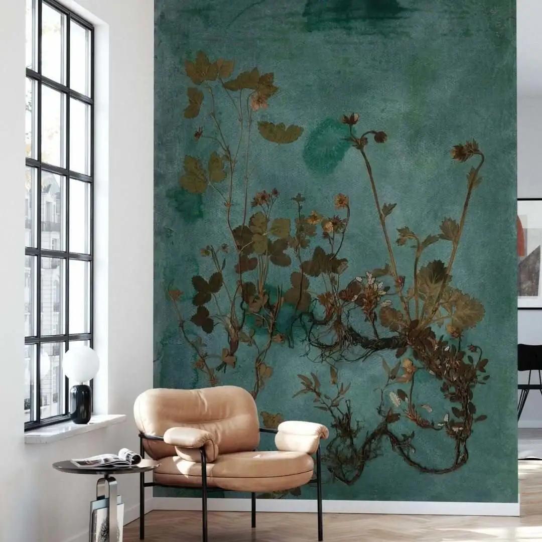 新房防甲醛买什么植物,新房甲醛克星植物