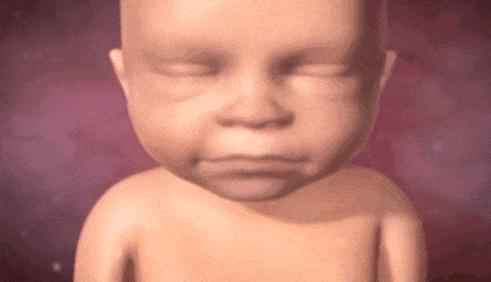 7个月孕妇产检,7个月以后孕妇产检