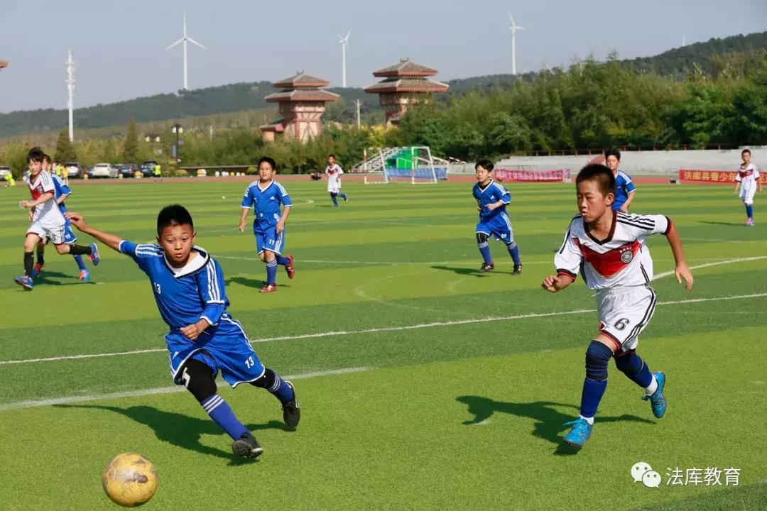 青少年足球联赛沈阳,2024沈阳市中小学足球联赛