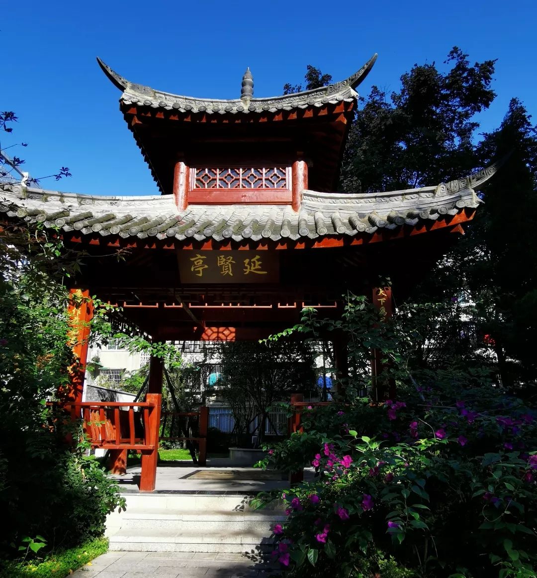 绵阳南山中学学生发言,绵阳南山中学上学感受