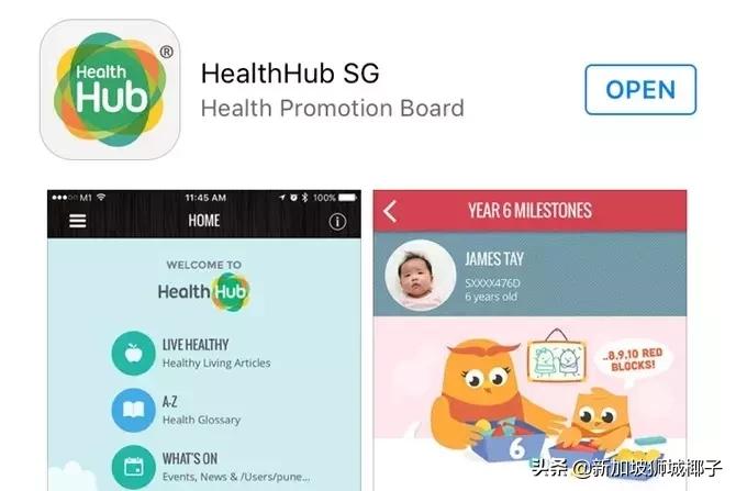 新加坡用什么软件买东西,新加坡便宜实惠的购物平台有哪些