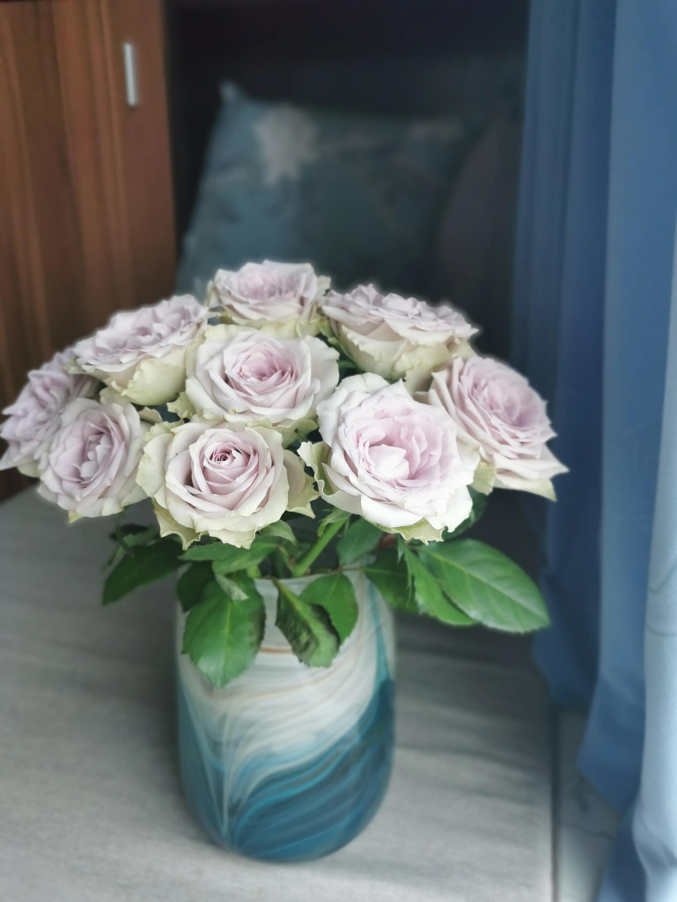 介绍一下海蓝之谜玫瑰花,海蓝之谜玫瑰推荐