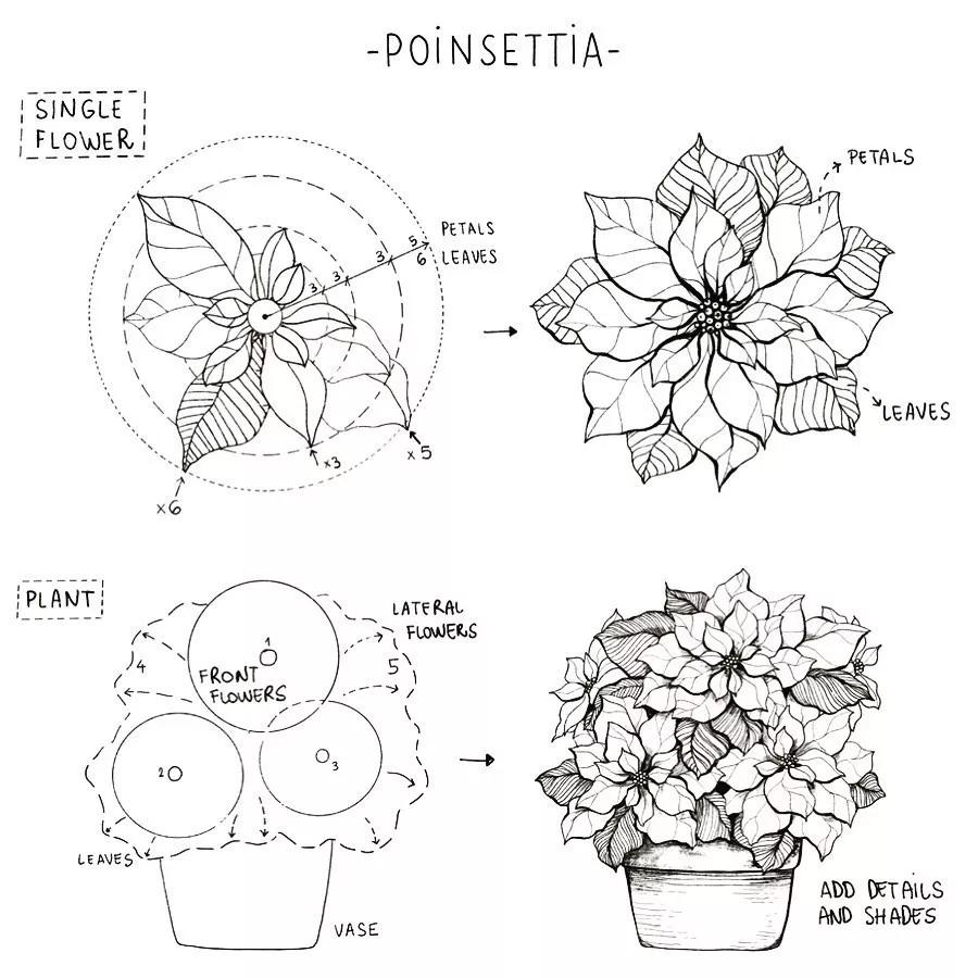 一看就懂的针管简笔画,针管笔入门手绘1000例临摹图