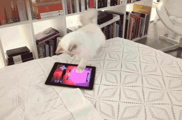 买不起香奈儿包包还可以买什么,买不起系列香奈儿