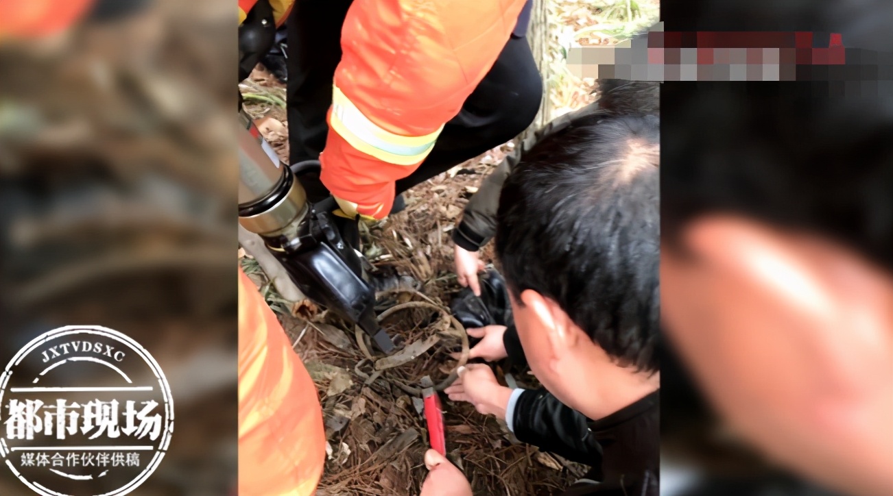 男子多次徒步踩到捕兽夹,男子山中误踩捕兽夹