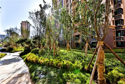 榆中大名城规划图,榆中大名城详细地址