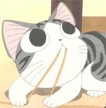 这些小众猫咪品种你见过几个,小众情头猫咪和狗