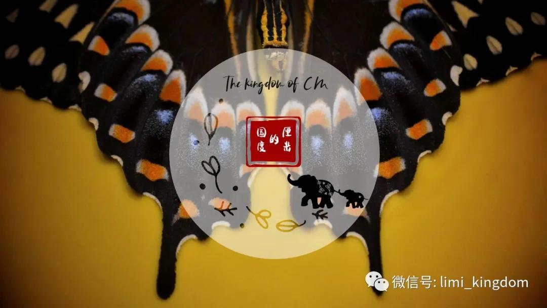 厘米的毒|人生是一袭华丽的长袍,里面爬满了虱子