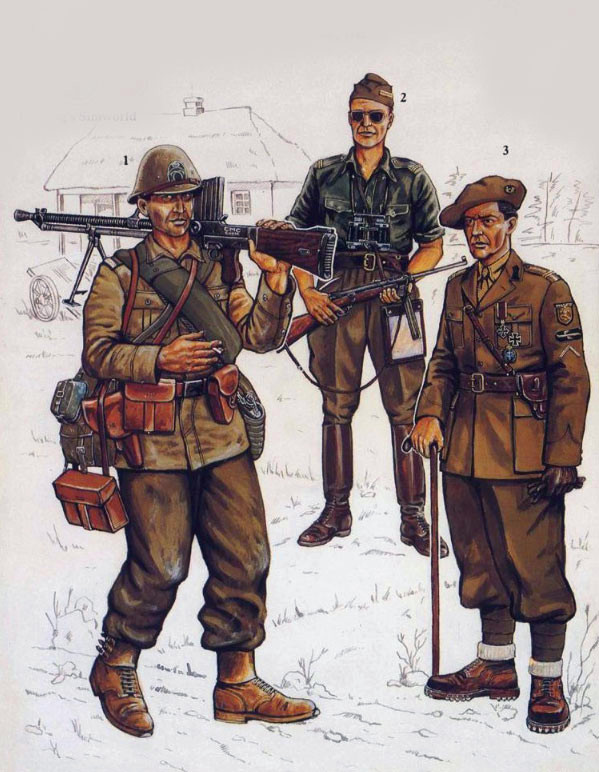 二战德军军服图鉴,二战罗马尼亚步兵师的装备