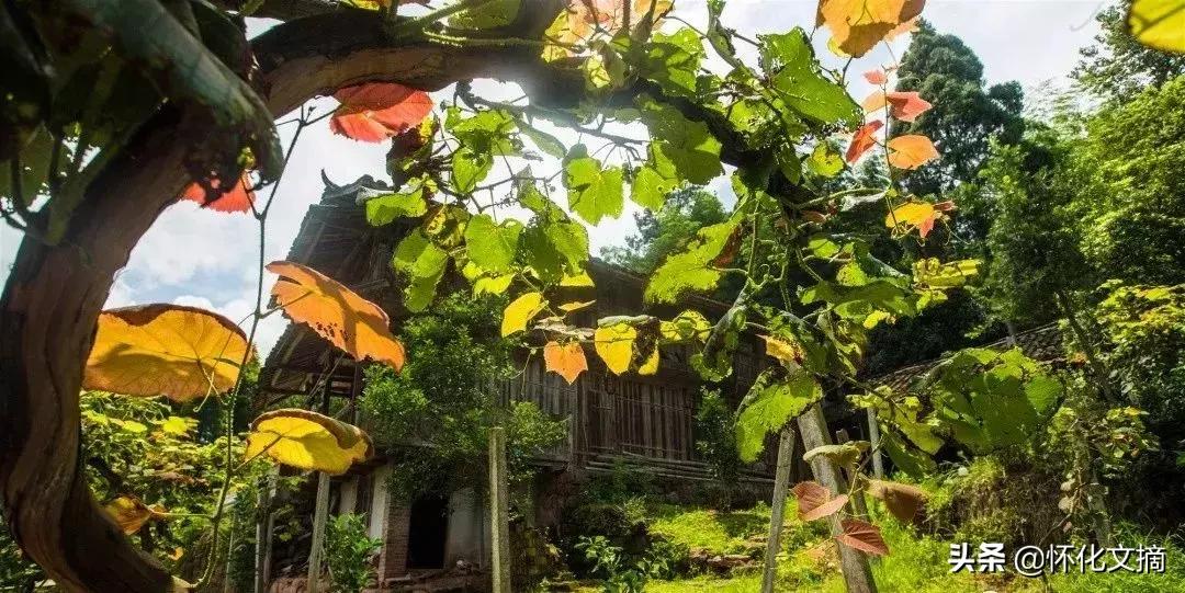 千年古苗寨老家寨全景,贵州千户苗寨农户家