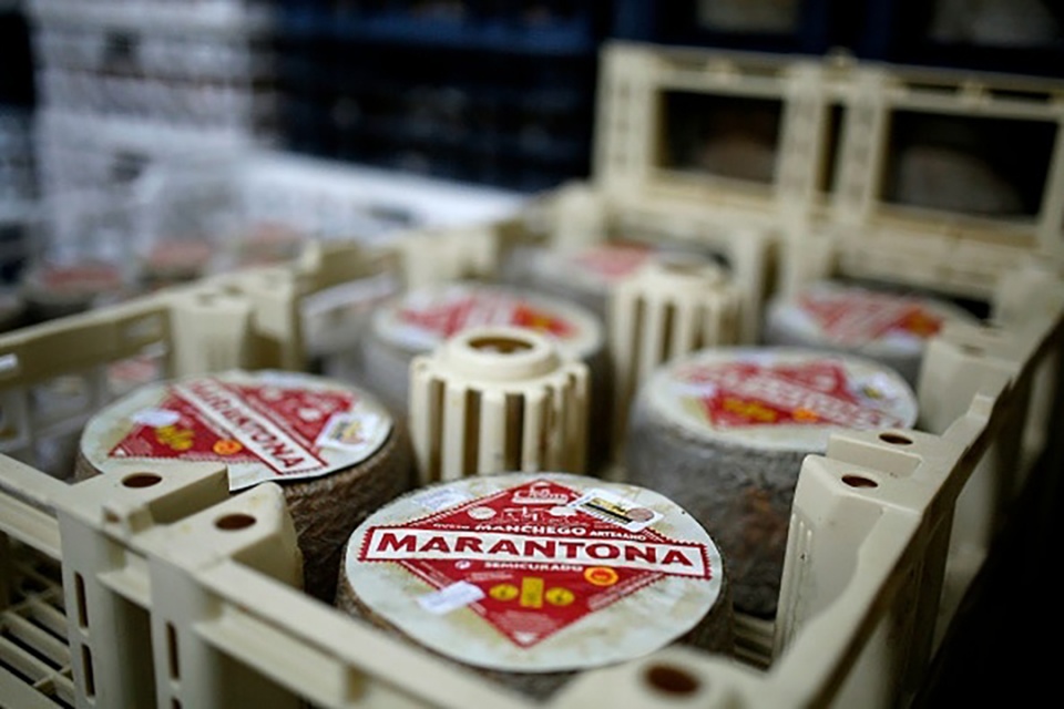 如何分清各种芝士,如何选择适合自己的芝士种类