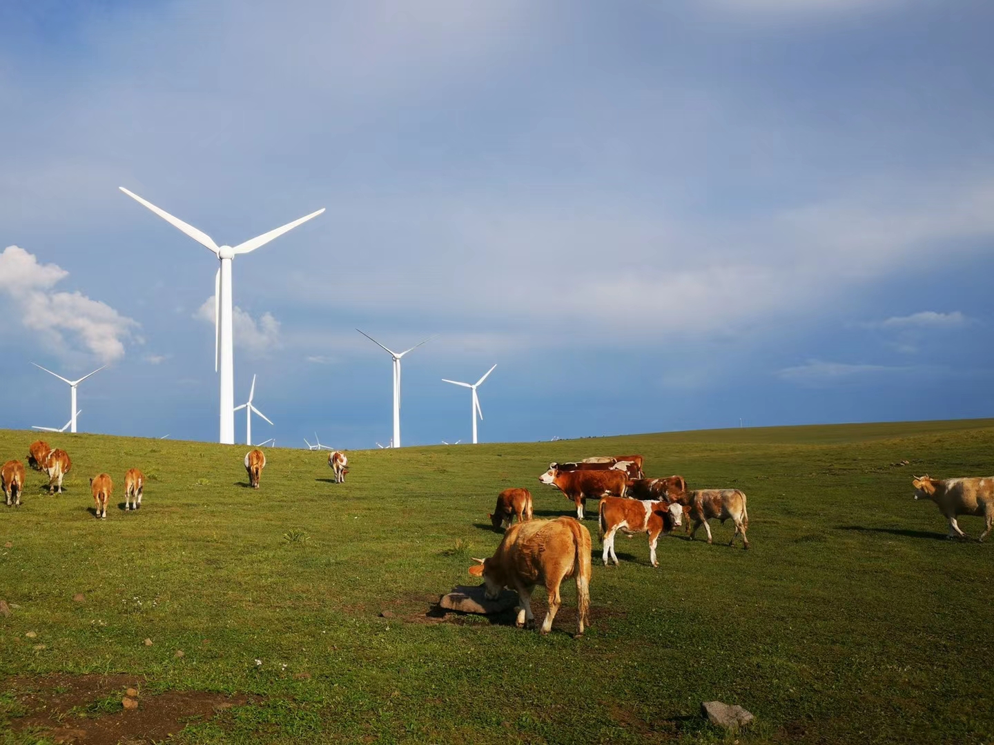 乌兰布统和红松洼哪个更值得去,辽宁乌兰布统草原旅游
