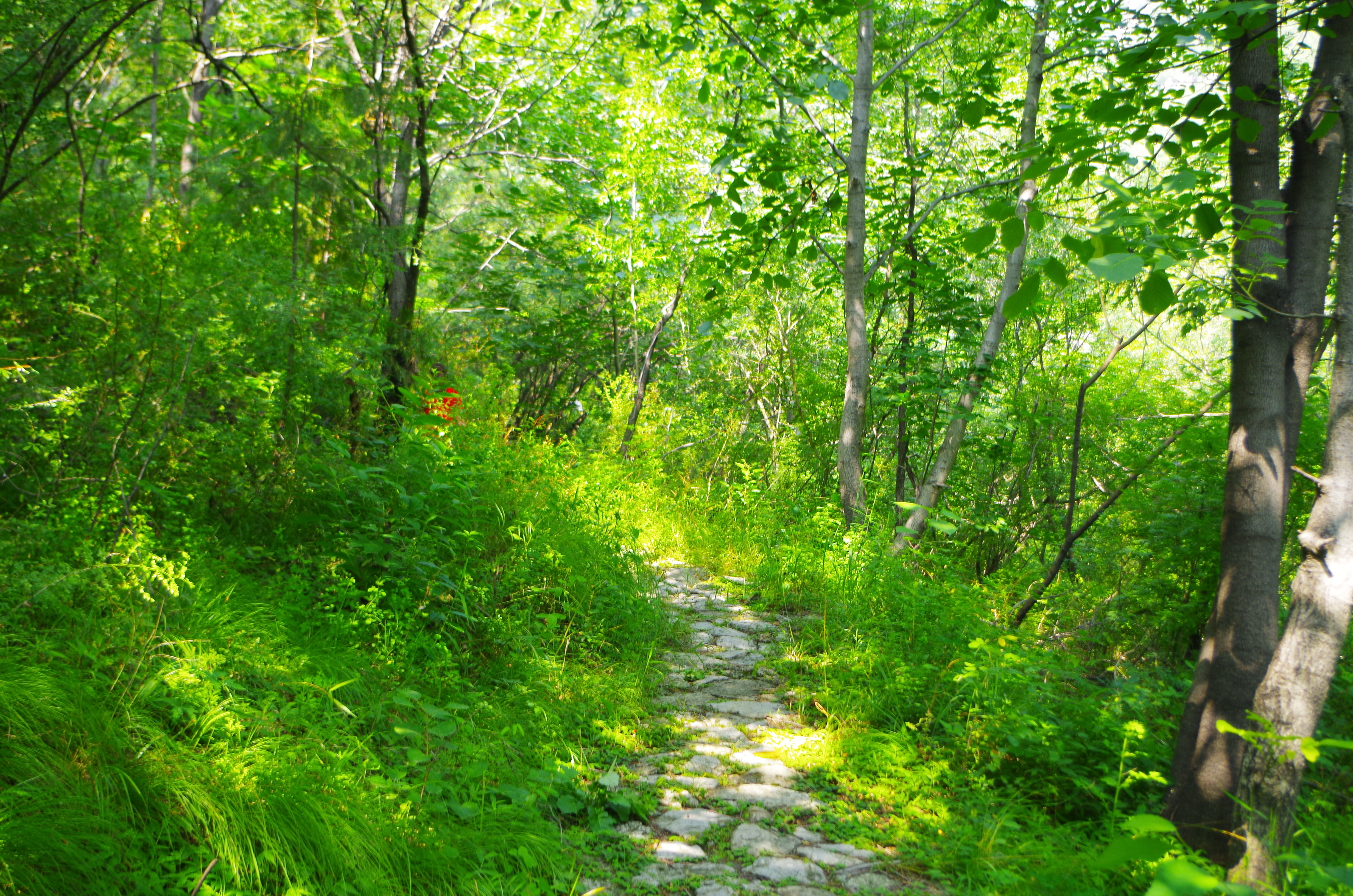 石家庄清凉山游玩需要多长时间,清凉山爬山详细爬山攻略