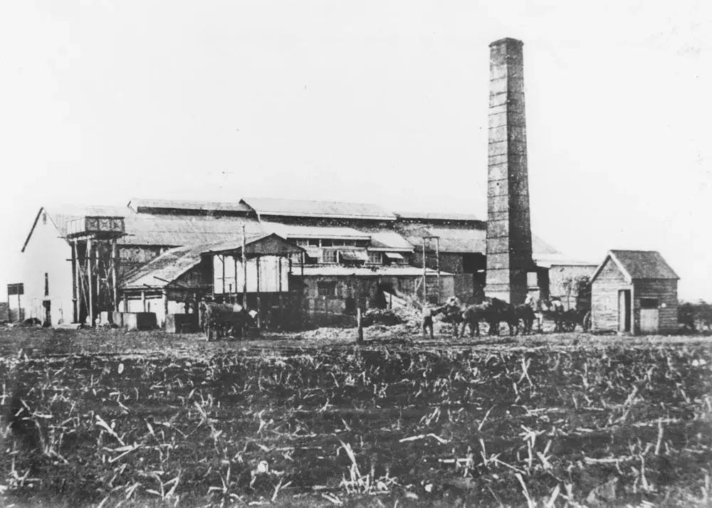 愤怒!哈佛大学专家为了钱,竟然收受糖企贿赂,做出不实研究!