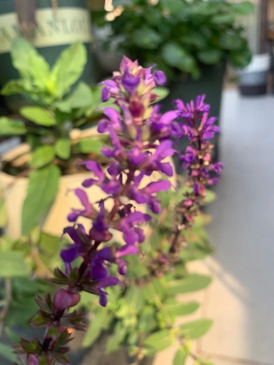 爱一个人的最好方式就是成全他,爱一个人最好的方式是心疼是付出