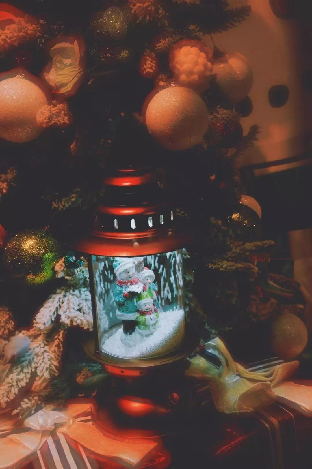 浪漫树屋、奇妙酒店、恒温水乐园...去江浙沪Top酒店跨个30℃的年