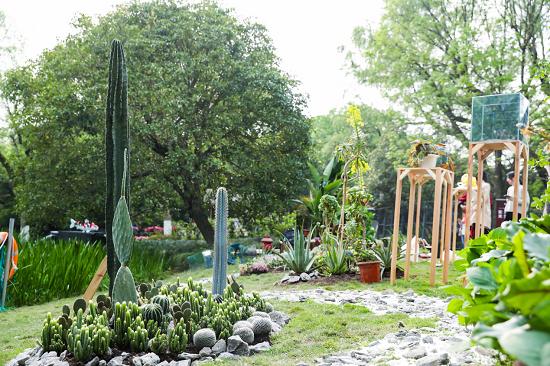 暖心关爱残疾人让社会充满阳光,关爱自闭症儿童公益帮扶