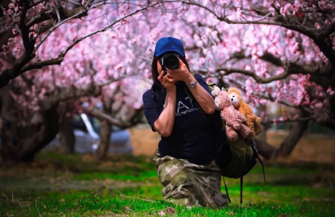 日本长野县旅行,日本长野赏樱旅游攻略