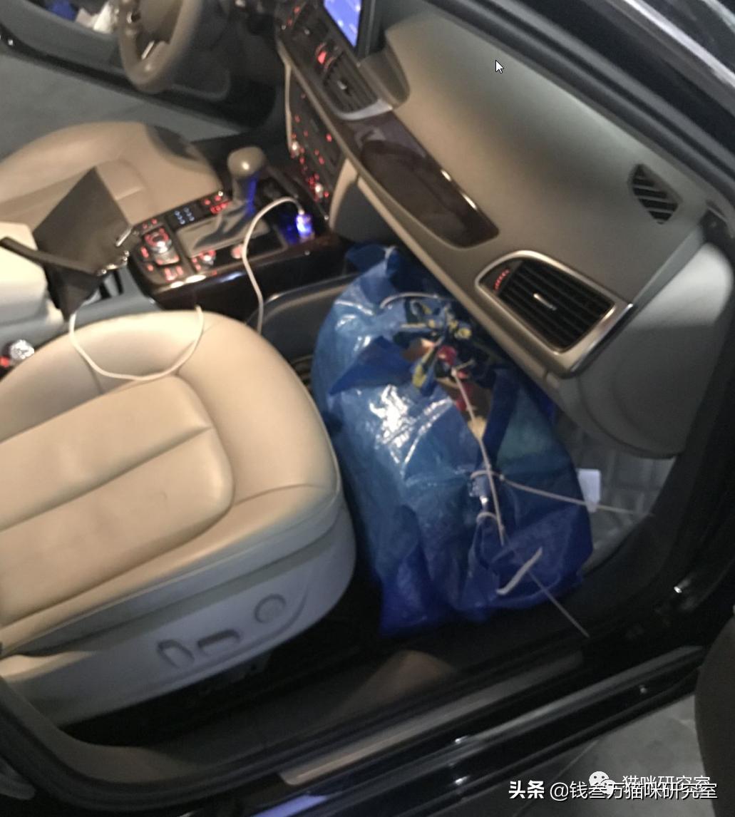 宠物托运全过程狗狗,宠物托运全过程国外