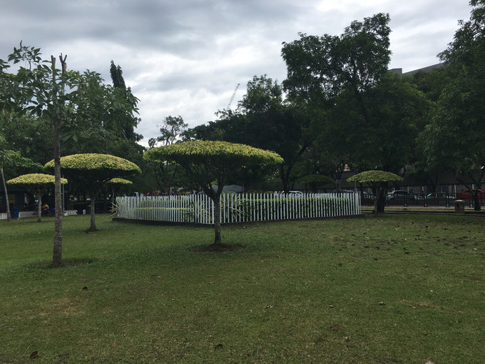 沙巴首府亚庇,马来西亚的沙巴州