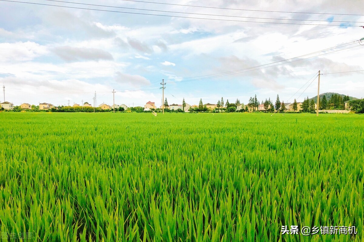 农村创业项目推荐2021小本生意,投资小适合农村的创业项目有哪些