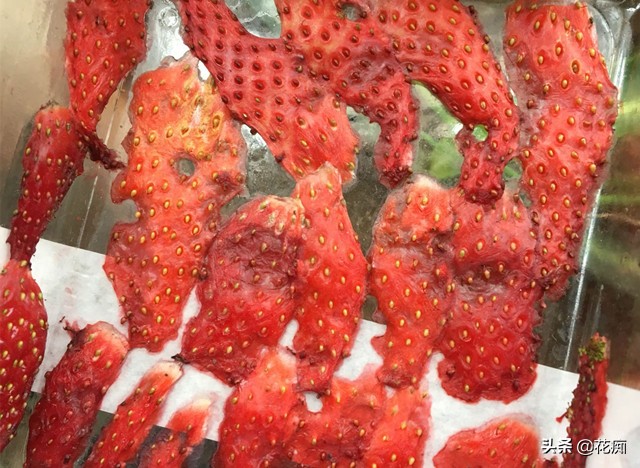 超简单种植草莓,如何用新鲜草莓种出草莓